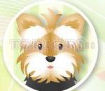 Pet Grooming Studio Студио за домашни любимци