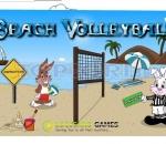 Плажен болейбол Beach volleyball
