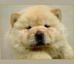 o_1147280230_Ku4eBebe [1].jpg.