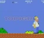 Homer Feat Super Mario