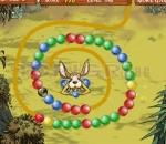 zuma kangaroo