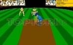 Виртуален крикет 