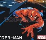 Спайдърмен последна битка   Spider Man  Final Fight