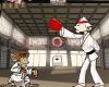 Маймуна каратист Karate Monkey